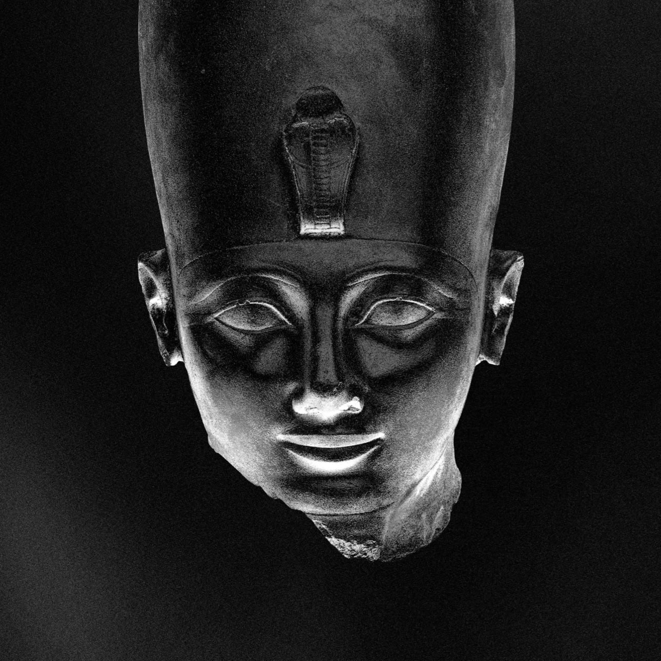 Pharaoh Box Crop_v2_1290p